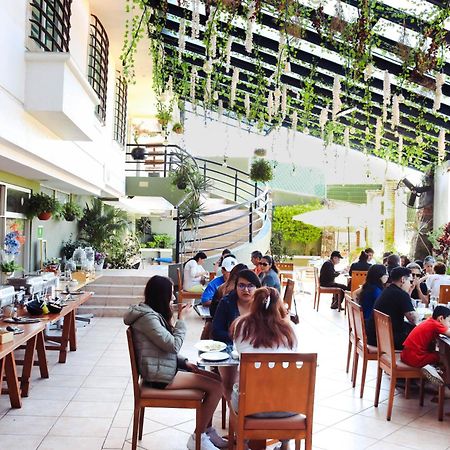 Hotel Borda Cuernavaca Exterior photo